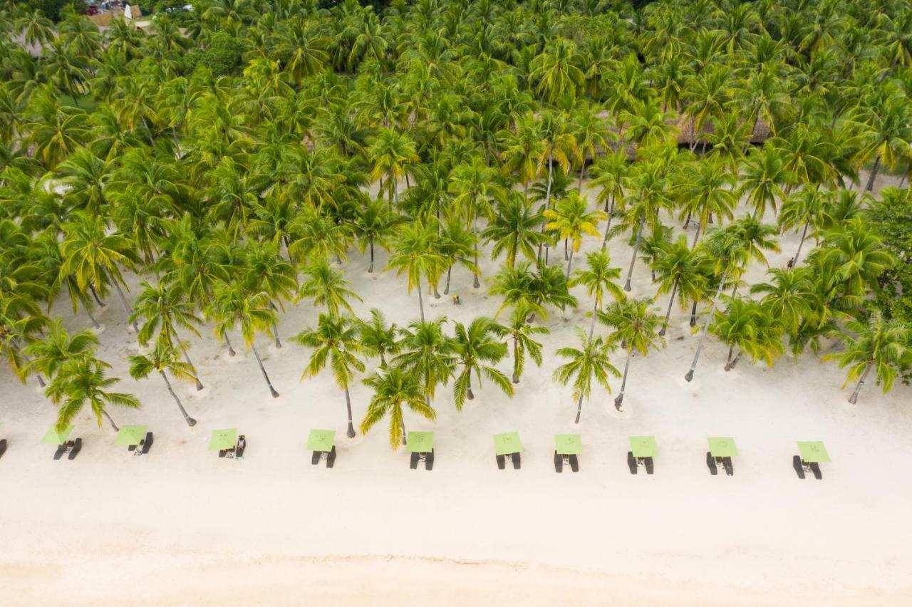 Oceanica Resort Panglao, Bohol Exterior foto Palm trees on the beach