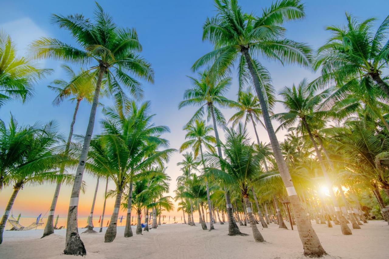 Oceanica Resort Panglao, Bohol Exterior foto Palm trees on a beach